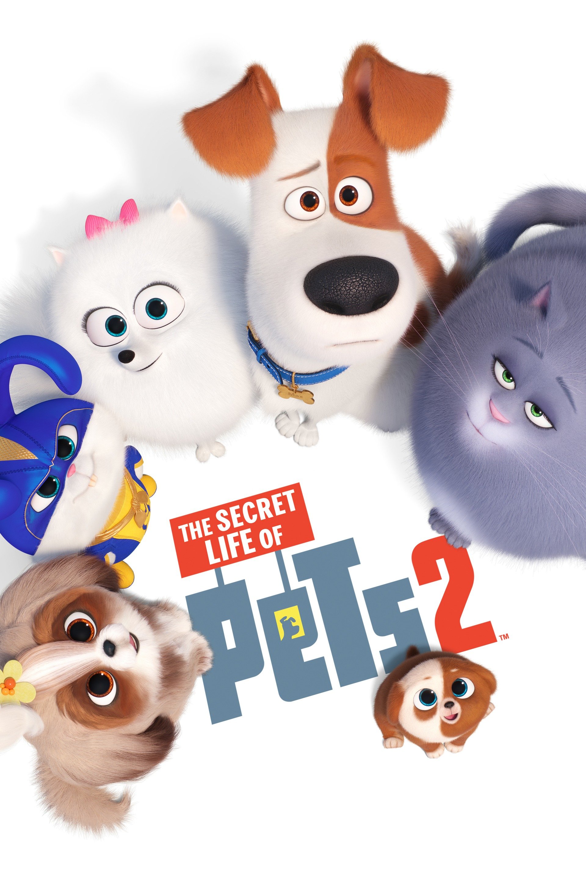 The Secret Life of Pets 2 (2019) [372634] (A1750733893) [[Movies]] --Plex--